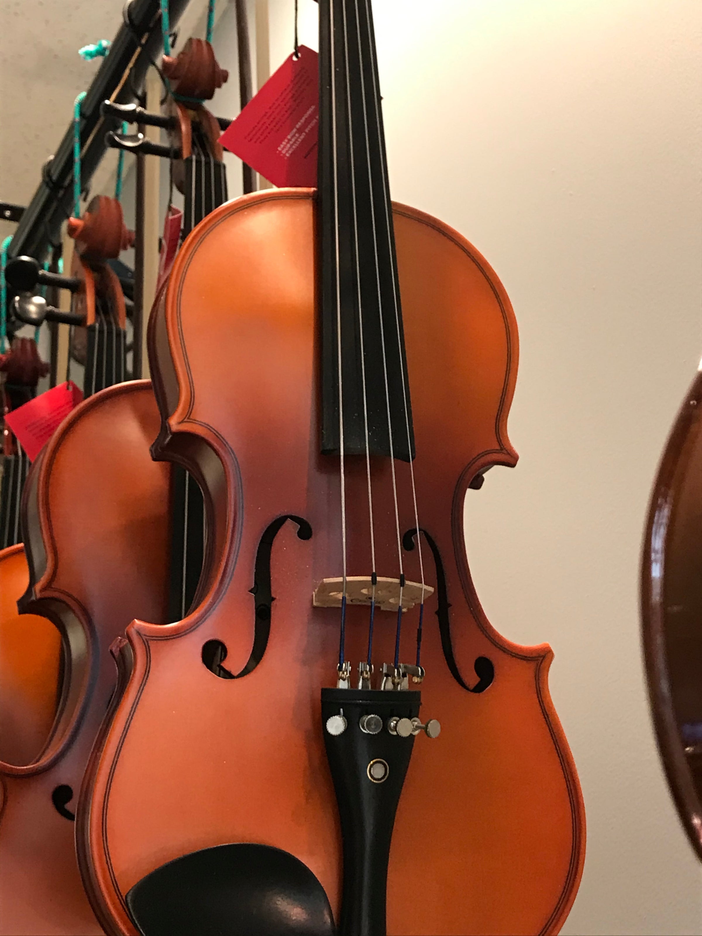Cecilio cello on sale