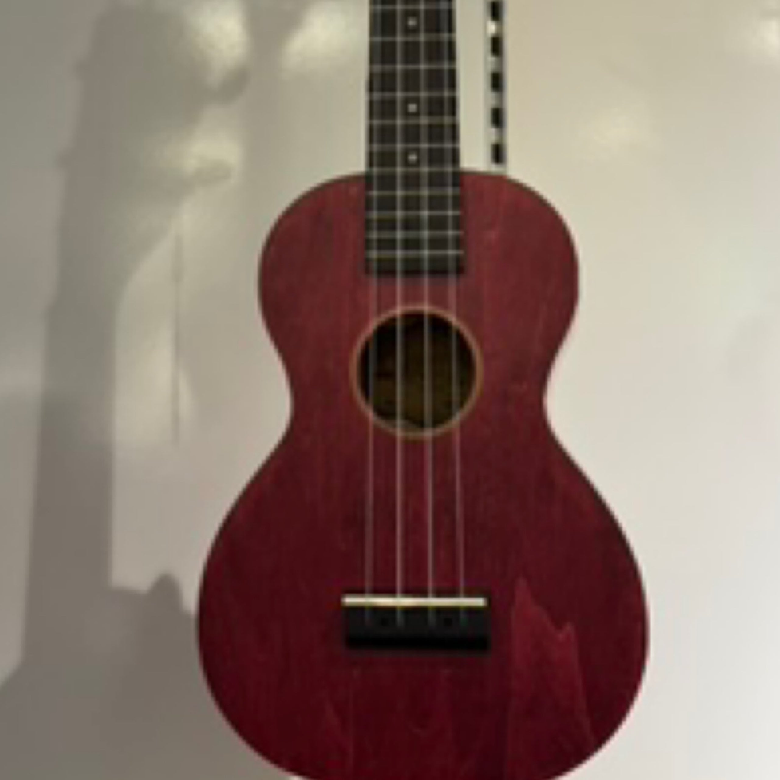 Cort m200 guitar discount